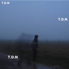 T.D.N