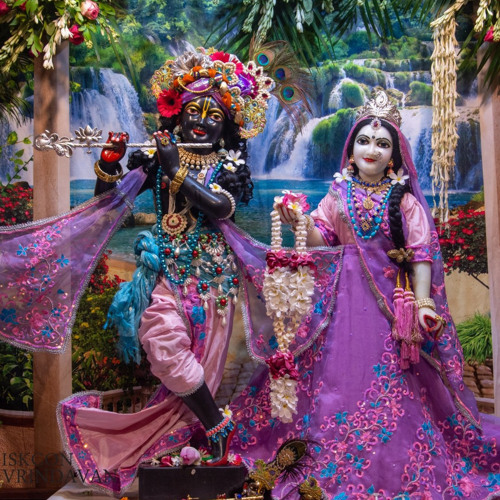 Pavan Nitai Chandra · Evening Shift Vrindavan · 1.18.23