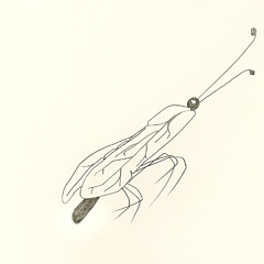 "Oh my nightmare" (Prelude 16) (1994)