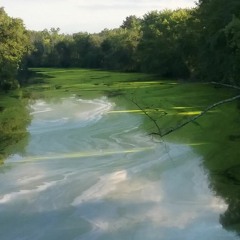 Green River