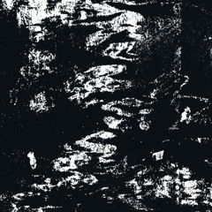 Terra Lingua #2 (Rooms)