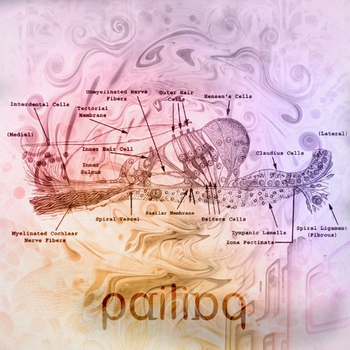 pailiaq - 2025 Minimix