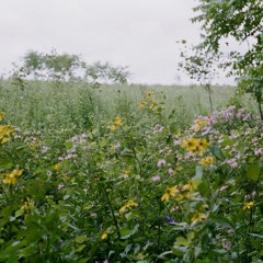 Movement