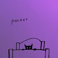 pocket