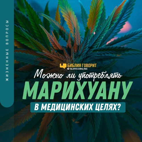 Библия о марихуане линда скачать бесплатно mp3 марихуана