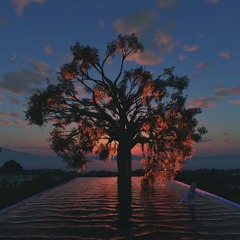 Mevzu Records Sampler #3