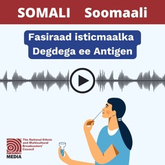 Somali - Rapid Antigen Test Explainer