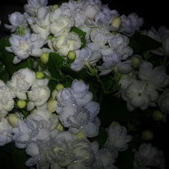 《葛东琪》-悬溺(0.8x)