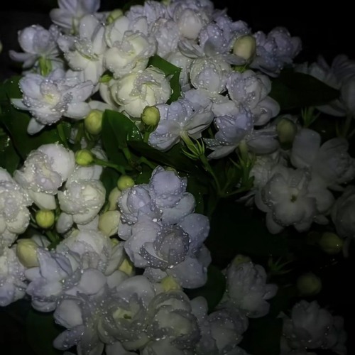 《葛东琪》-悬溺(0.8x)