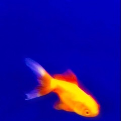 AANDACHT prod. SORCERER