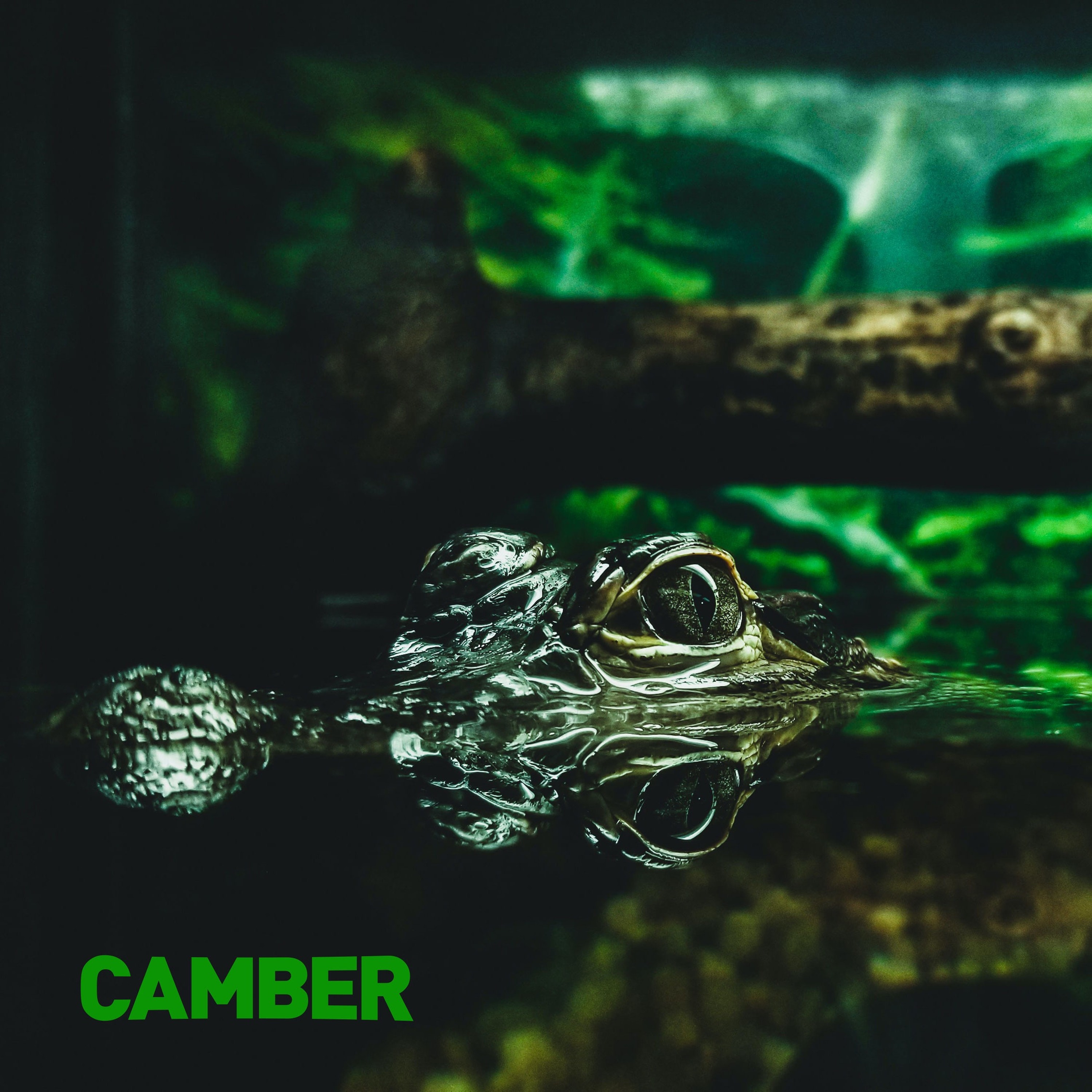 CAMBER