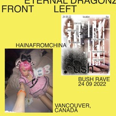 FRONT    LEFT – HAINAFROMCHINA @ NORMIE CORP BUSH RAVE VAN