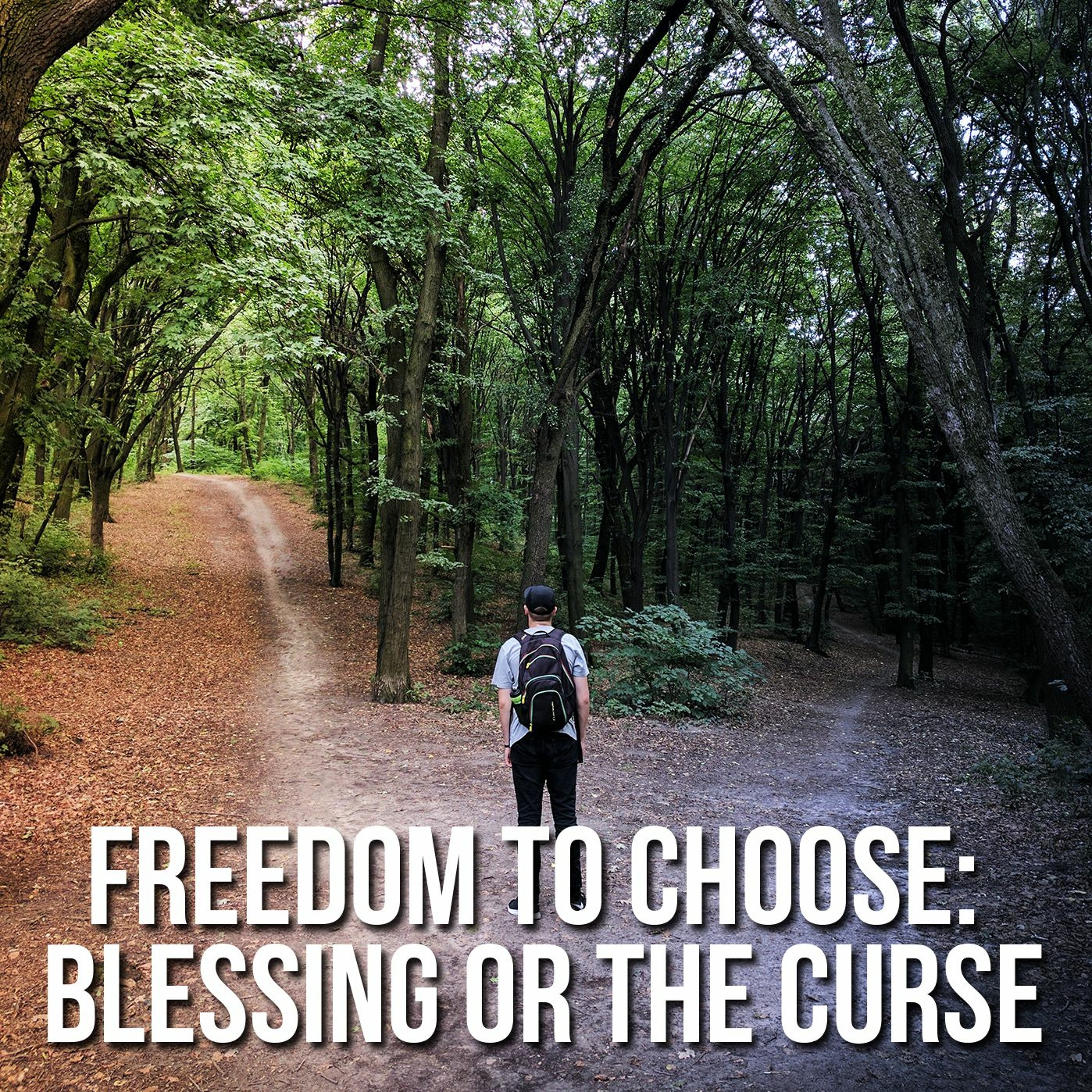 Freedom to Choose: Blessing or the Curse episode artwork