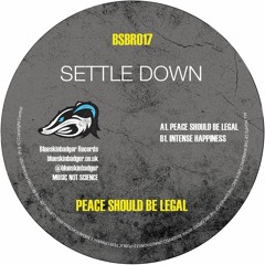 A1-BSBR017-Peace-Should-be-Legal