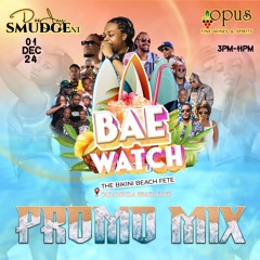 BAE-WATCH The Bikini Beach Fete Promotional Mixtape