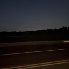 Lost In the Noise (prod. Lou)