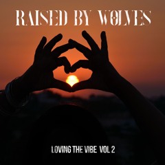 Loving The Vibe Vol. 2