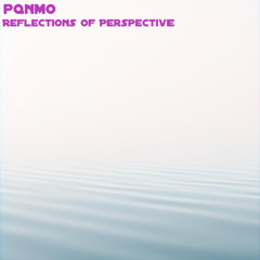 Reflections of Perspective