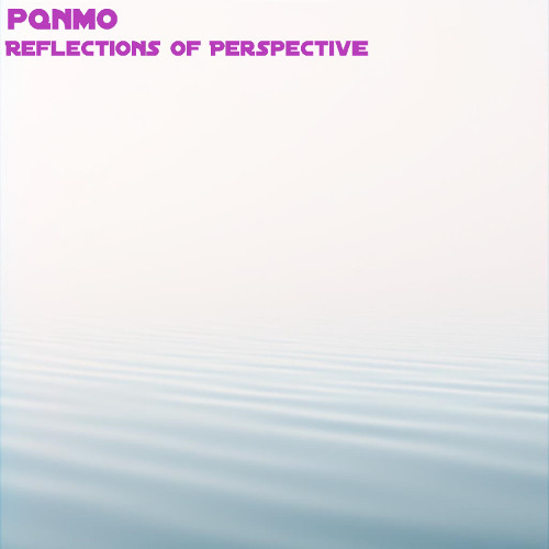 Reflections of Perspective