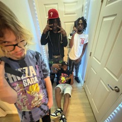Shii lit