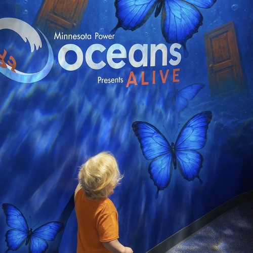 BLUER THAN A BUTTERFLY