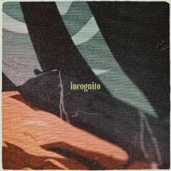 INCOGNITO (BLOWN OUT VERSION)