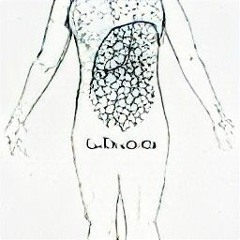 Dernier Humain - OLF Team