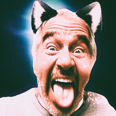 KISSEKATT MJAU