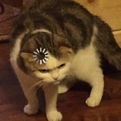 ?¿?¿?