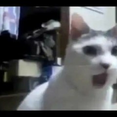 bleh