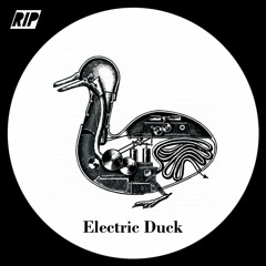 Rip - Electric Duck