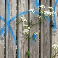 Counteract