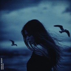OKINXWX - Violin Night