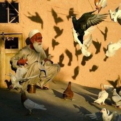 وَعِبادُ الرَّحمنِ الَّذينَ يَمشونَ عَلَى الأَرضِ هَونًا | ش/ محمود علي البنا