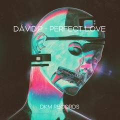 Dávid.P - Perfect Love