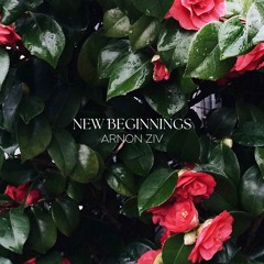 New Beginnings