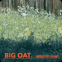 BIG OAT