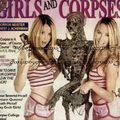 tomb - FL4MES! (prod ilishheaven zyrublade vvicc ruinedwokyo ayxn} [ slowed ]