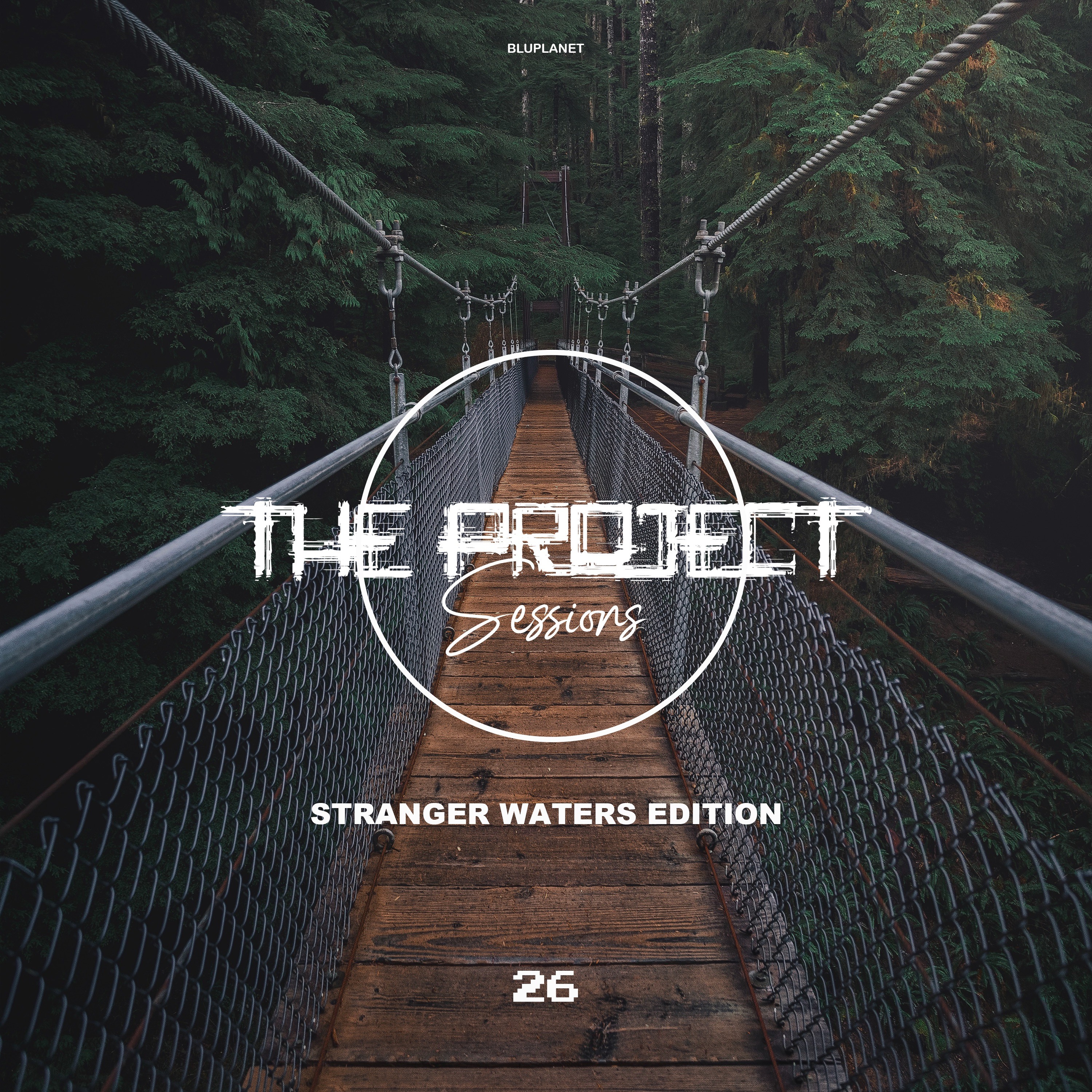 The Project Sessions