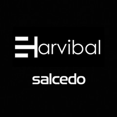 Salcedo @ Harvibal, Avalon Festival 2025
