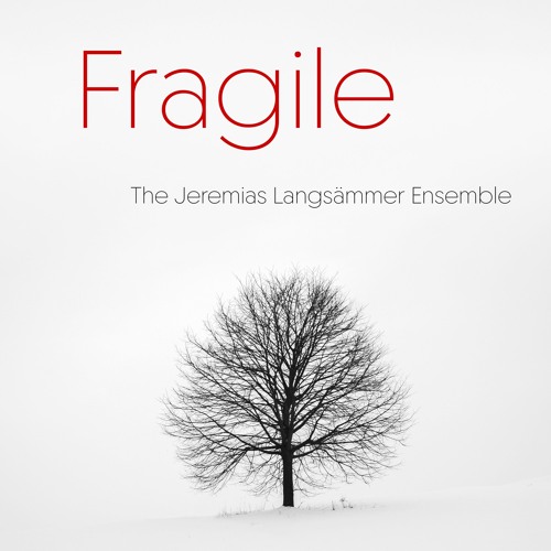 The Jeremias Langsämmer Ensemble – Fragile | Piano, Cinematic Strings & Atmospheric Orchestral Music
