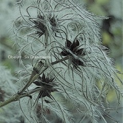 Oberlin - Six Dreamwebs (album preview)