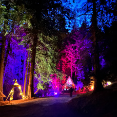 Solstice 2024