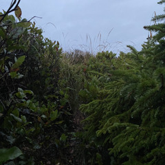 2022-07-03 If I Was Invisible