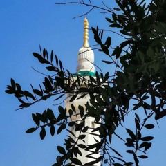 لِتَكُونَ لِمَنْ خَلْفَكَ آيَةً ۚ | سورة يونس | القارئ محمد عبادة