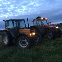 silage toons new
