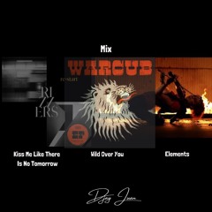 Kiss Me Like There Is No Tomorrow - Wild Over You - Elements