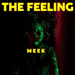 The Feeling: Ep 03 - Meek