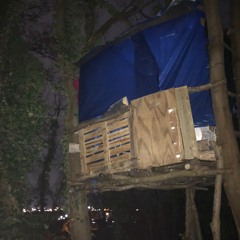 treehouse