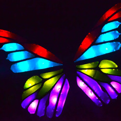 Electric Butterflys (Master Blaster)